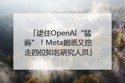 逮住OpenAI“猛薅”！Meta据悉又挖走四位知名研究人员