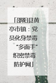 邵阳县黄亭市镇：党员化身禁毒“多面手” 织密禁毒防护网