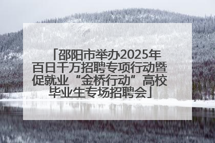 邵阳市举办2025年百日千万招聘专项行动暨促就业“金桥行动”高校毕业生专场招聘会