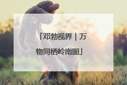 邓勃视界｜万物同栖岭南图