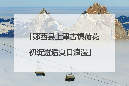 郧西县上津古镇荷花初绽邂逅夏日浪漫
