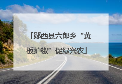 郧西县六郎乡“黄板护椒”促绿兴农