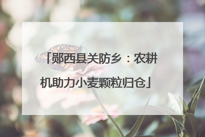 郧西县关防乡：农耕机助力小麦颗粒归仓