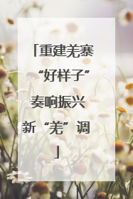 重建羌寨“好样子” 奏响振兴新“羌”调