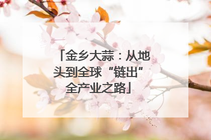 金乡大蒜：从地头到全球“链出”全产业之路