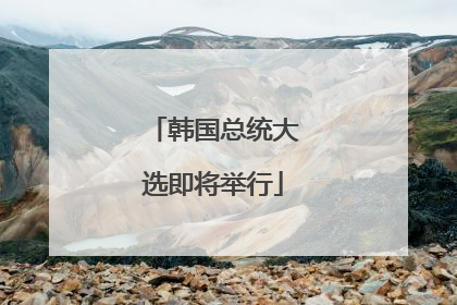 韩国总统大选即将举行