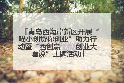 青岛西海岸新区开展“喵小创贷你创业”助力行动暨“西创赢——创业大咖说”主题活动