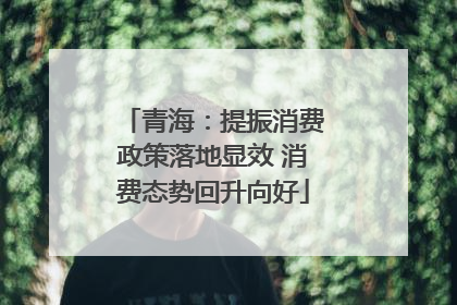 青海：提振消费政策落地显效 消费态势回升向好