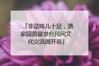 非遗味儿十足，潘家园首届京台民间文化交流周开幕