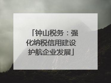 钟山税务：强化纳税信用建设护航企业发展