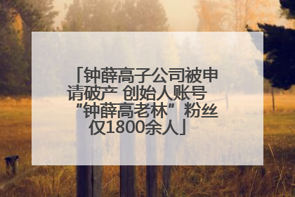 钟薛高子公司被申请破产 创始人账号“钟薛高老林”粉丝仅1800余人