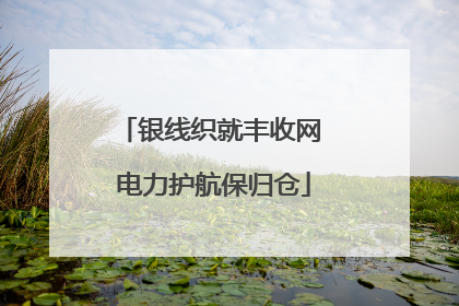 银线织就丰收网 电力护航保归仓