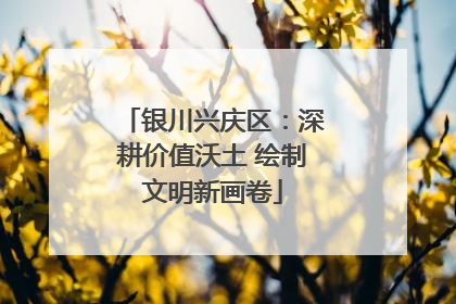银川兴庆区：深耕价值沃土 绘制文明新画卷