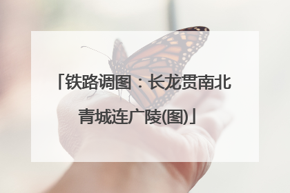 铁路调图：长龙贯南北 青城连广陵(图)