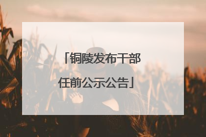 铜陵发布干部任前公示公告