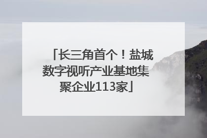 长三角首个！盐城数字视听产业基地集聚企业113家