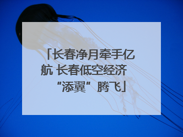 长春净月牵手亿航 长春低空经济“添翼”腾飞