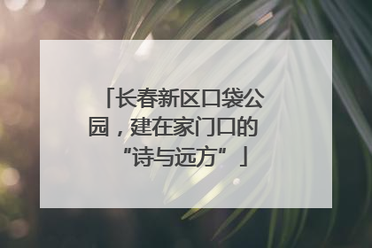 长春新区口袋公园，建在家门口的“诗与远方”