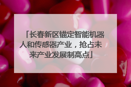 长春新区锚定智能机器人和传感器产业，抢占未来产业发展制高点