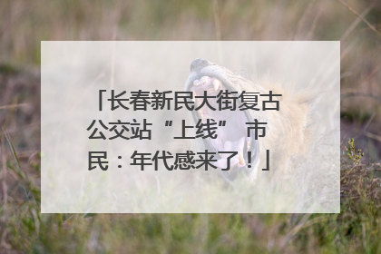 长春新民大街复古公交站“上线” 市民：年代感来了！
