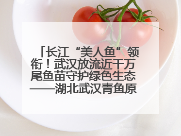 长江“美人鱼”领衔！武汉放流近千万尾鱼苗守护绿色生态——湖北武汉青鱼原种场参加2025年“全国放鱼日”增殖放流活动
