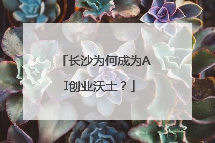 长沙为何成为AI创业沃土？