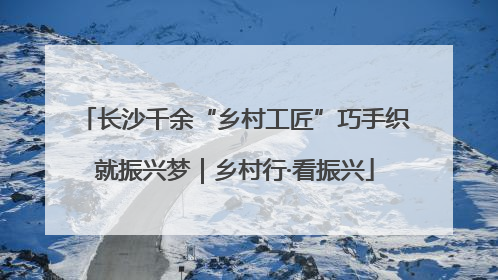 长沙千余“乡村工匠”巧手织就振兴梦｜乡村行·看振兴