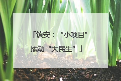 镇安：“小项目”撬动“大民生”