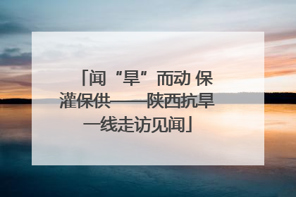 闻“旱”而动 保灌保供——陕西抗旱一线走访见闻