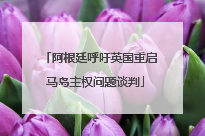 阿根廷呼吁英国重启马岛主权问题谈判