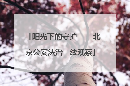 阳光下的守护——北京公安法治一线观察