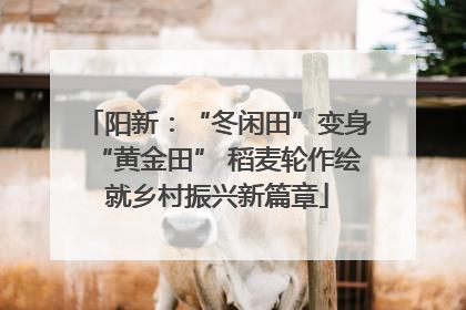 阳新：“冬闲田”变身“黄金田” 稻麦轮作绘就乡村振兴新篇章
