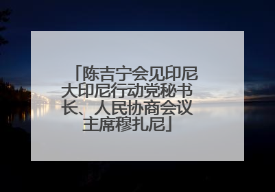 陈吉宁会见印尼大印尼行动党秘书长、人民协商会议主席穆扎尼