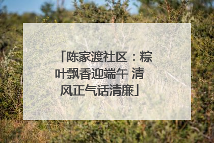 陈家渡社区：粽叶飘香迎端午 清风正气话清廉