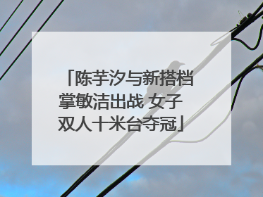 陈芋汐与新搭档掌敏洁出战 女子双人十米台夺冠