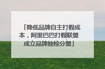 降低品牌自主打假成本，阿里巴巴打假联盟成立品牌抽检分盟