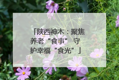 陕西神木：聚焦养老“食事” 守护幸福“食光”