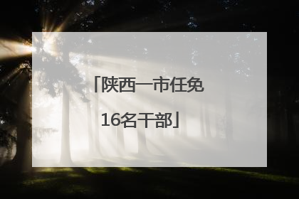 陕西一市任免16名干部