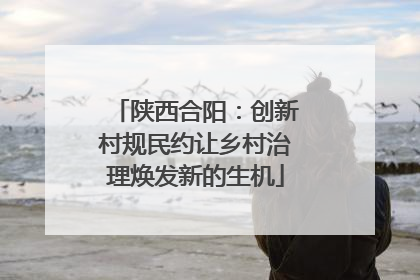陕西合阳：创新村规民约让乡村治理焕发新的生机