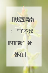 陕西渭南：“了不起的非遗”处处在