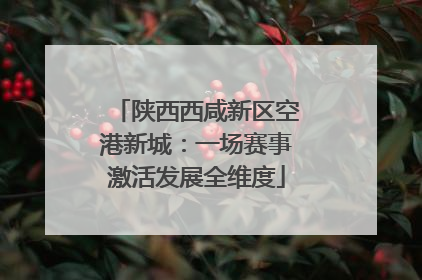 陕西西咸新区空港新城：一场赛事激活发展全维度