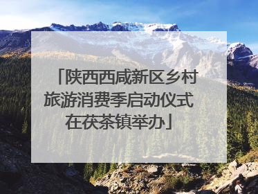 陕西西咸新区乡村旅游消费季启动仪式在茯茶镇举办