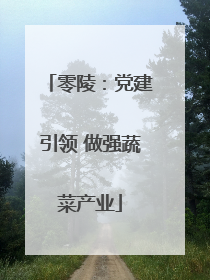 零陵：党建引领 做强蔬菜产业