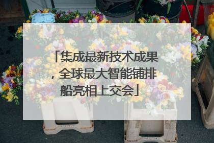集成最新技术成果，全球最大智能铺排船亮相上交会