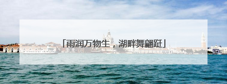 雨润万物生，湖畔舞翩跹