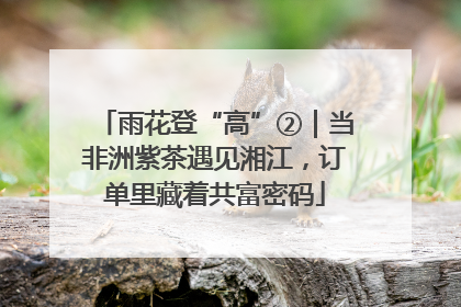 雨花登“高”②｜当非洲紫茶遇见湘江，订单里藏着共富密码