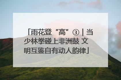 雨花登“高”③｜当少林拳碰上非洲鼓 文明互鉴自有动人韵律