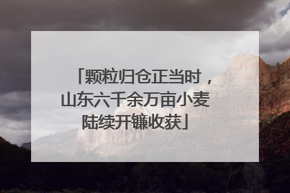 颗粒归仓正当时，山东六千余万亩小麦陆续开镰收获