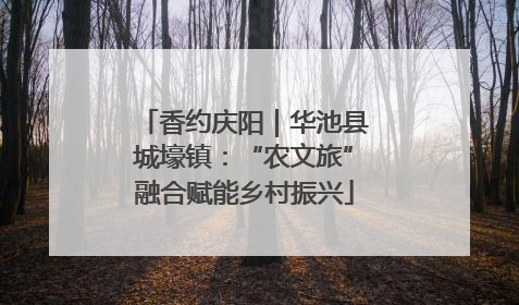 香约庆阳｜华池县城壕镇：“农文旅”融合赋能乡村振兴