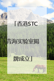 香港STC青海实验室揭牌成立
